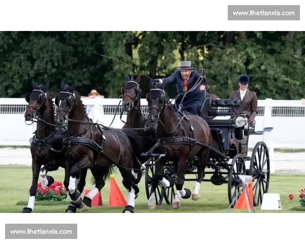 最新体育快讯:国内外赛事精彩瞬间与明星运动员动态全纪录 最新体育快讯:国内外赛事精彩瞬间与明星运动员动态全纪录